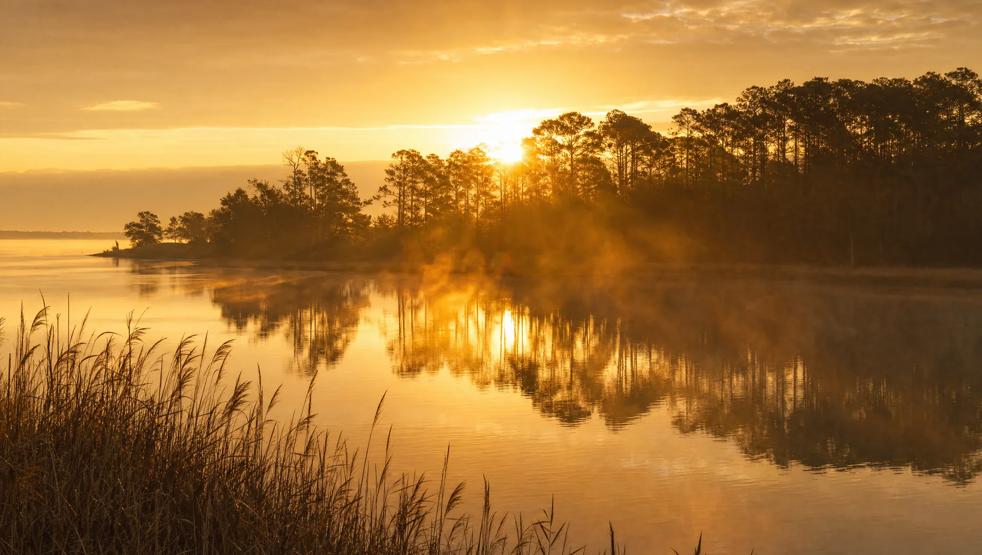 Still water at sunrise with a pine treeline
